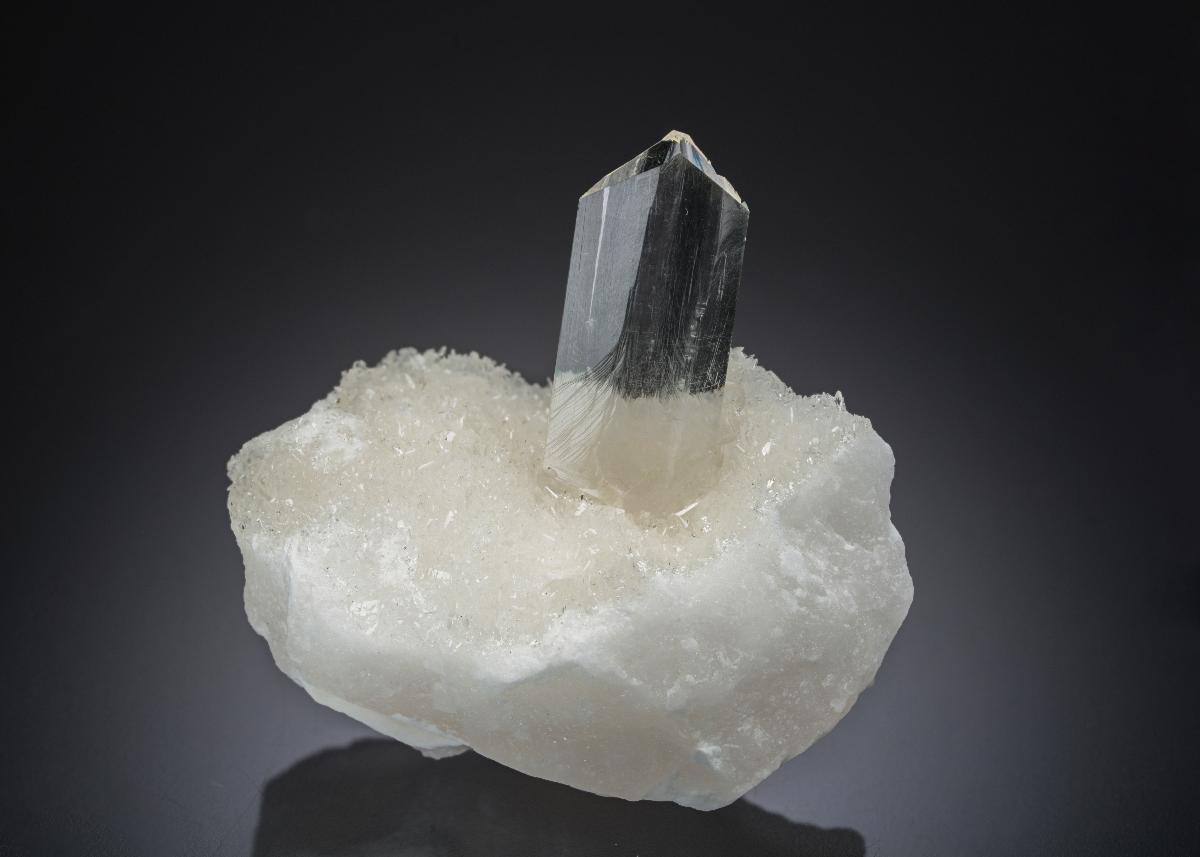 CC27919 specimen image