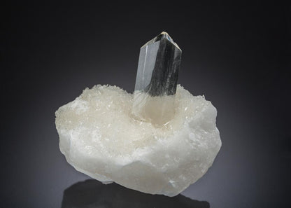 CC27919 specimen image