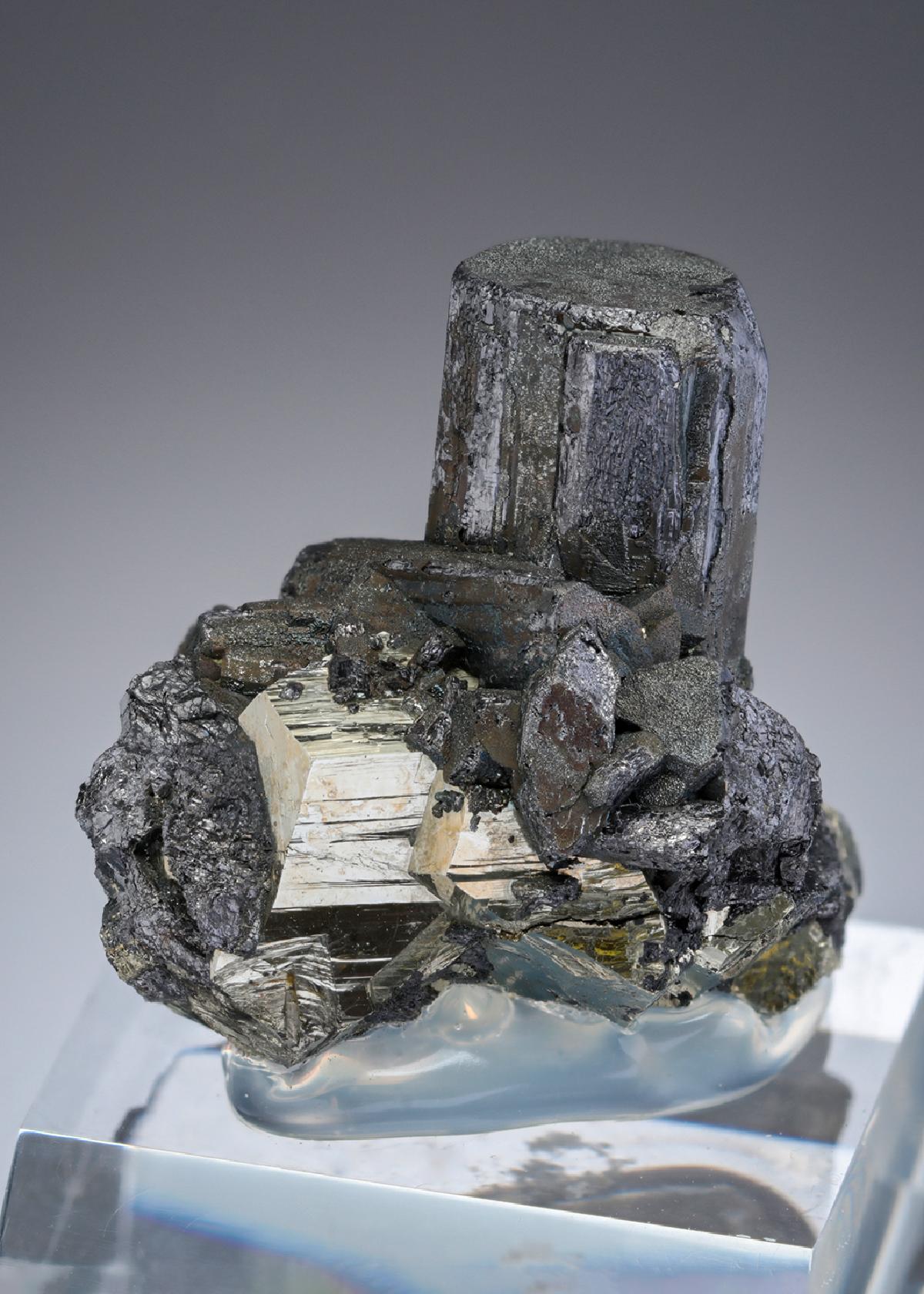 CC27921 specimen image