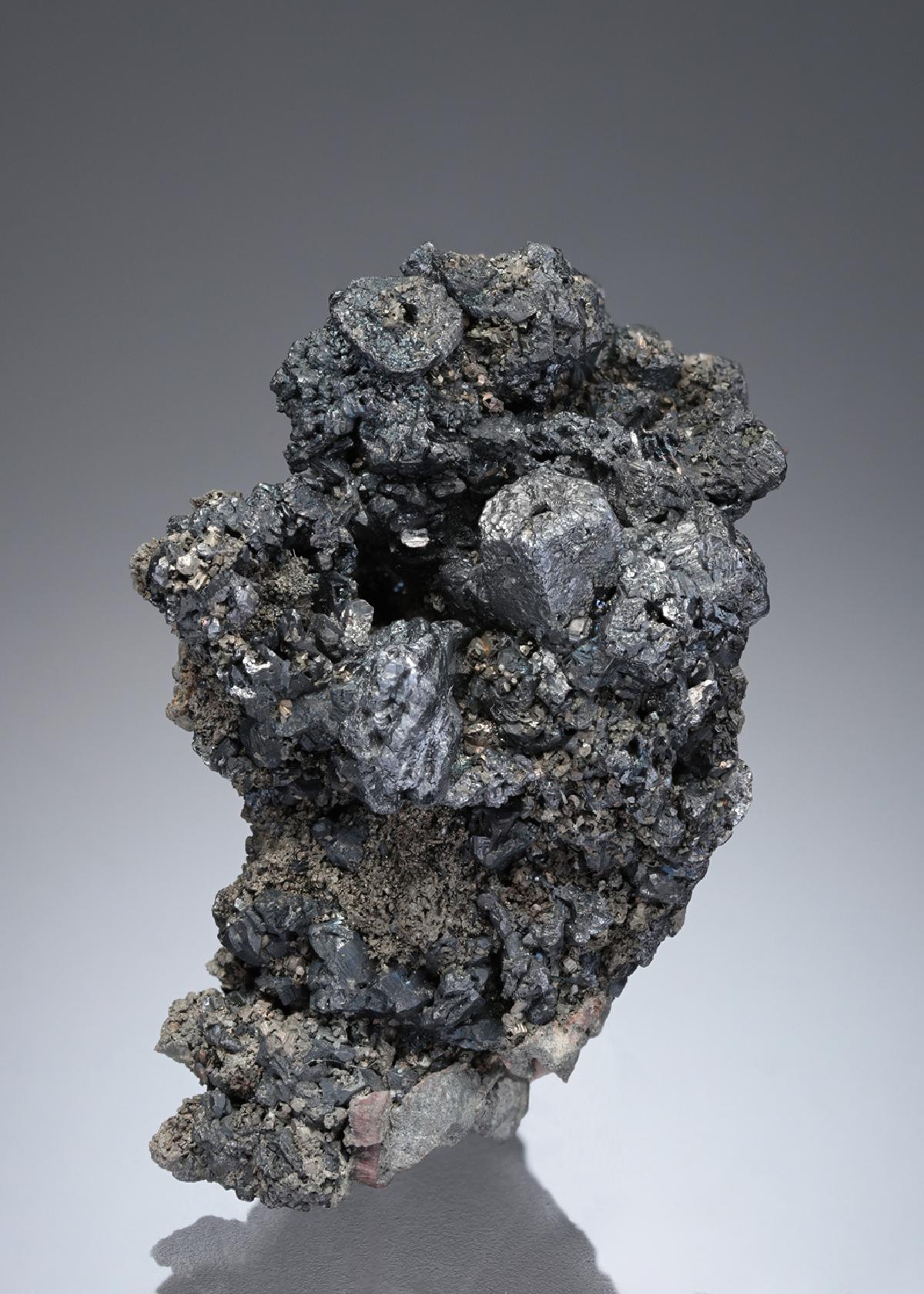 CC27929 specimen image