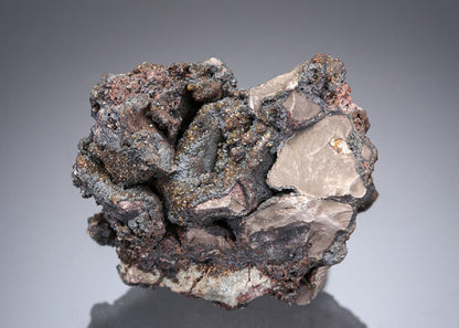 CC27935 specimen image