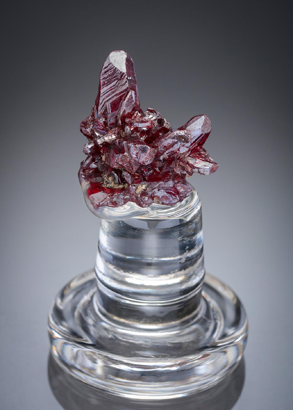 CC27941 specimen image