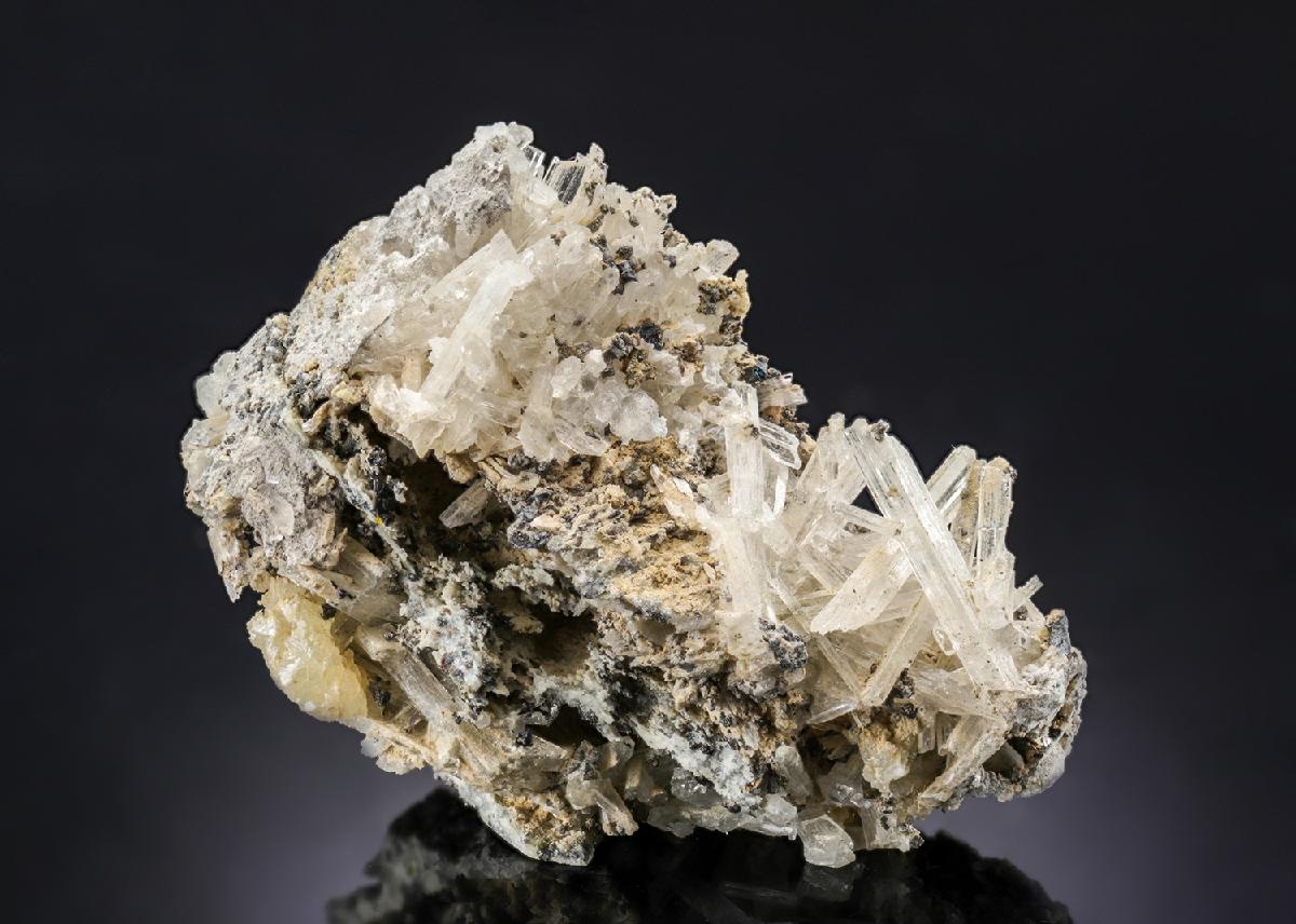 CC27965 specimen image