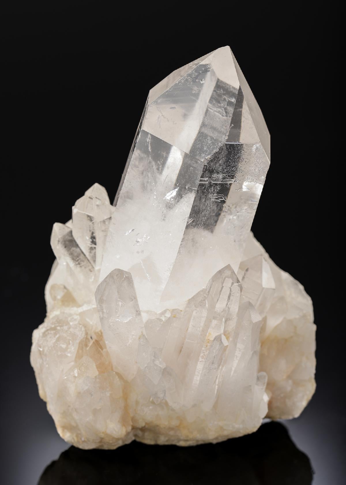 CC27967 specimen image
