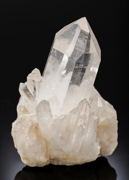 CC27967 specimen image