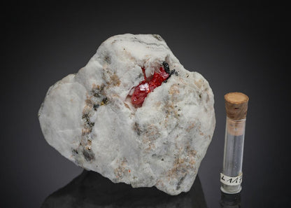 CC27977 specimen image