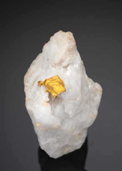 CC27985 specimen image
