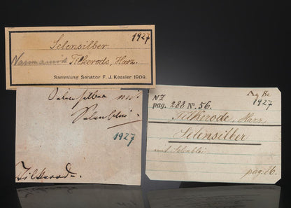 CC27995 specimen image