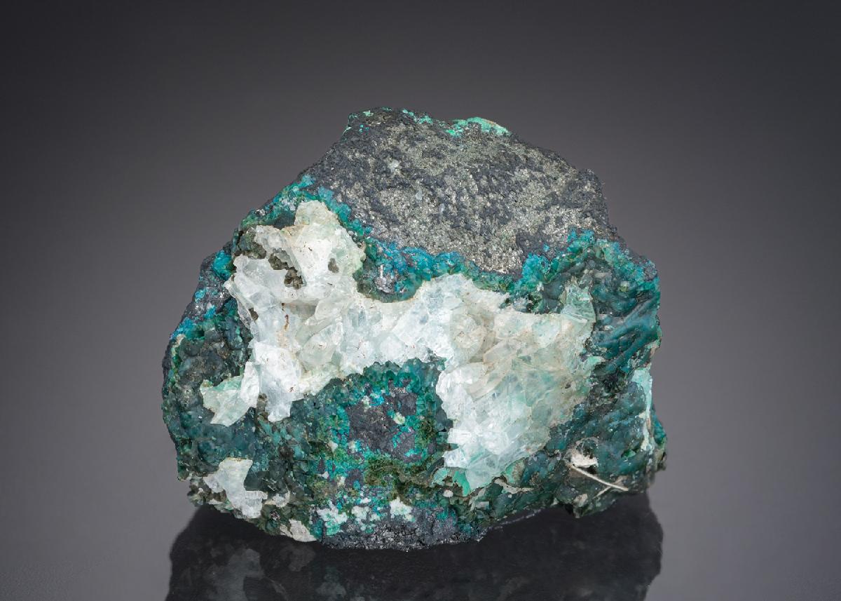 CC27997 specimen image