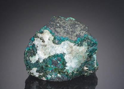 CC27997 specimen image
