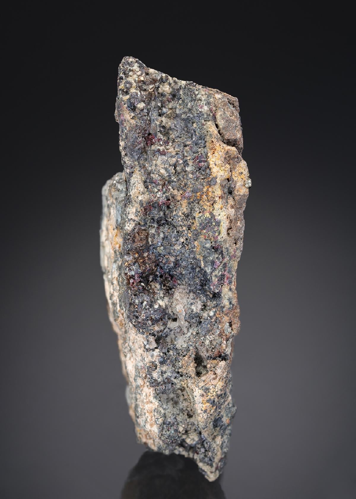 CC28001 specimen image