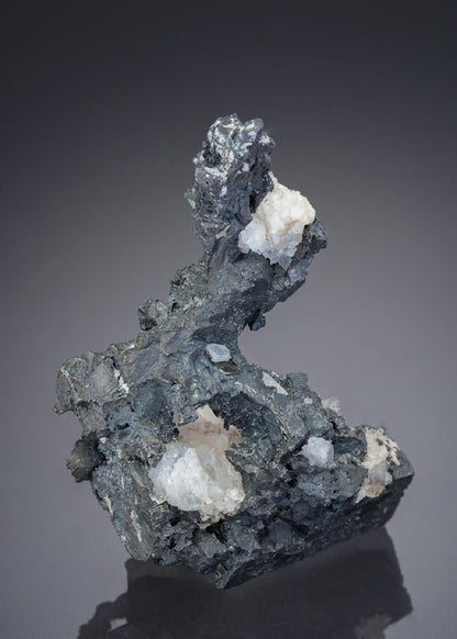 CC28003 specimen image