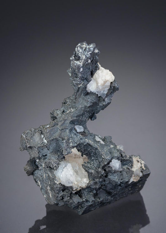 CC28003 specimen image