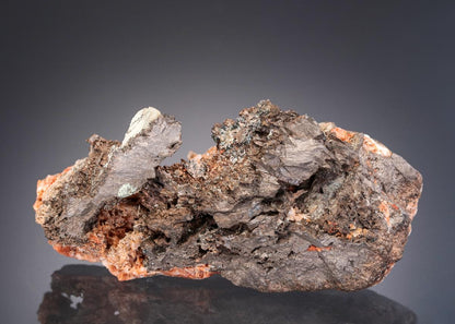 CC28005 specimen image