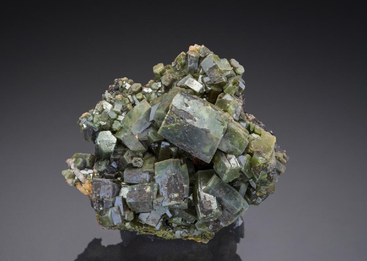 CC28007 specimen image