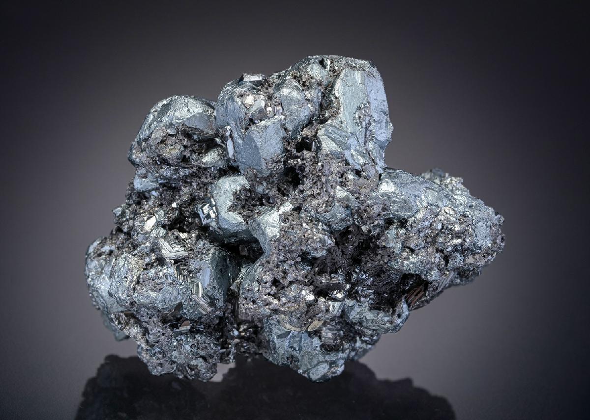 CC28009 specimen image