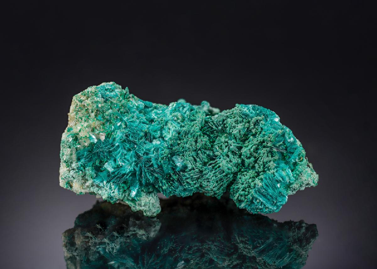 CC28015 specimen image