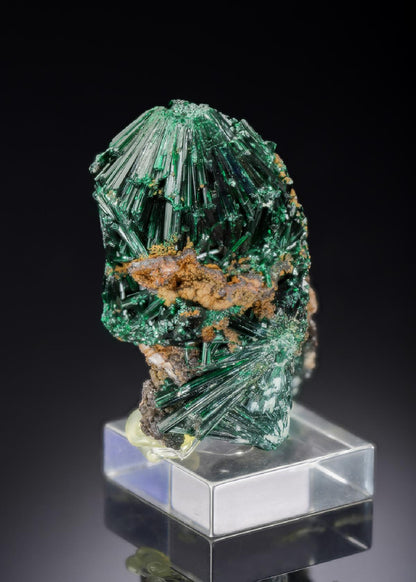 CC28021 specimen image
