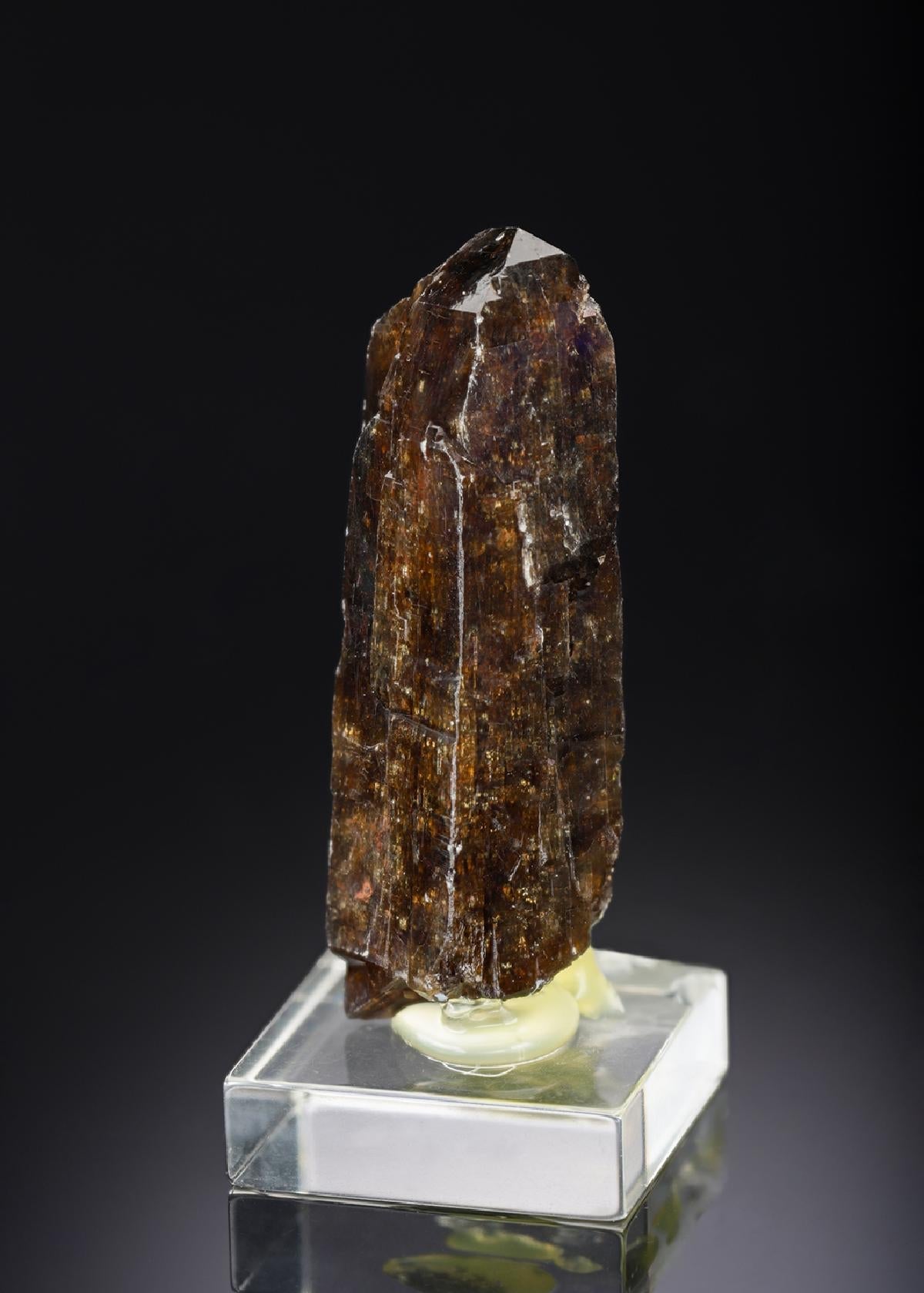 CC28023 specimen image