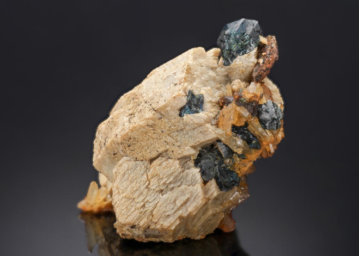 CC28025 specimen image