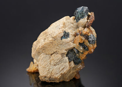 CC28025 specimen image