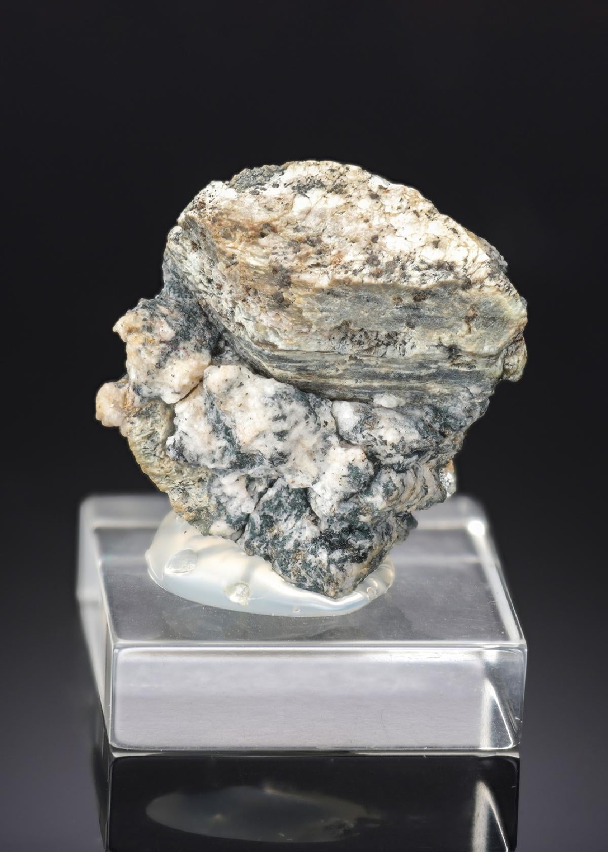 CC28027 specimen image