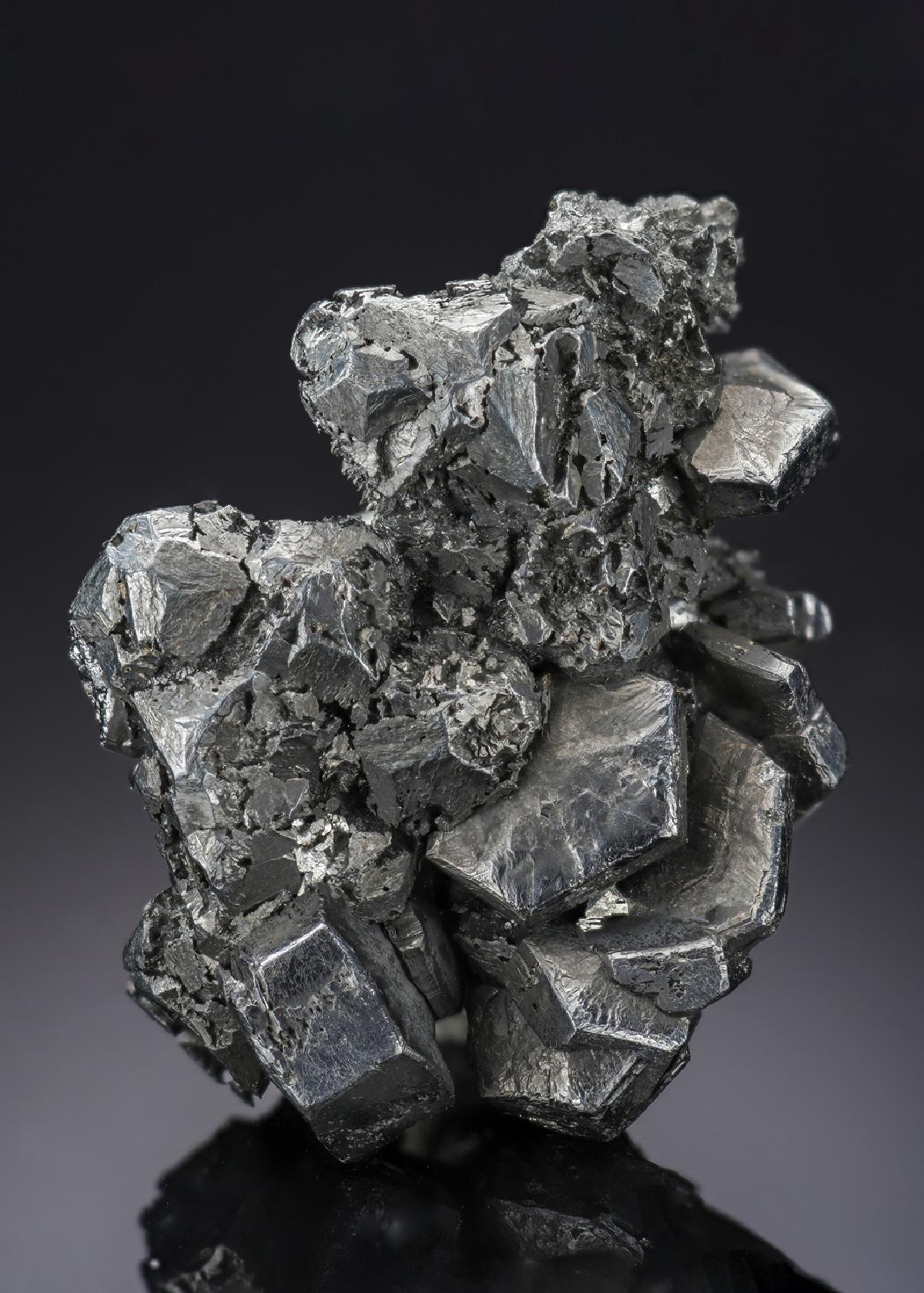 CC28029 specimen image