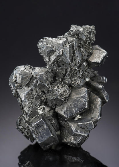 CC28029 specimen image