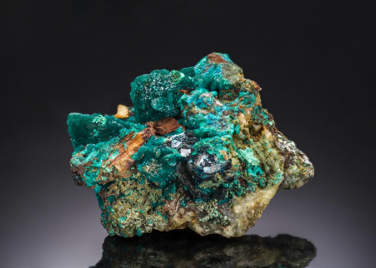 CC28031 specimen image