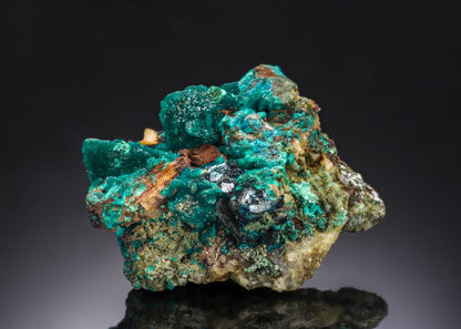 CC28031 specimen image