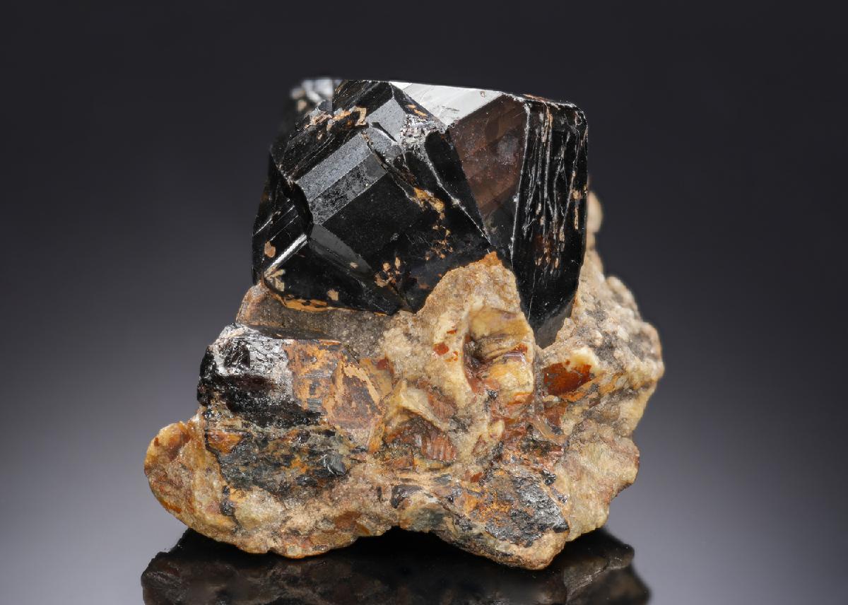 CC28037 specimen image