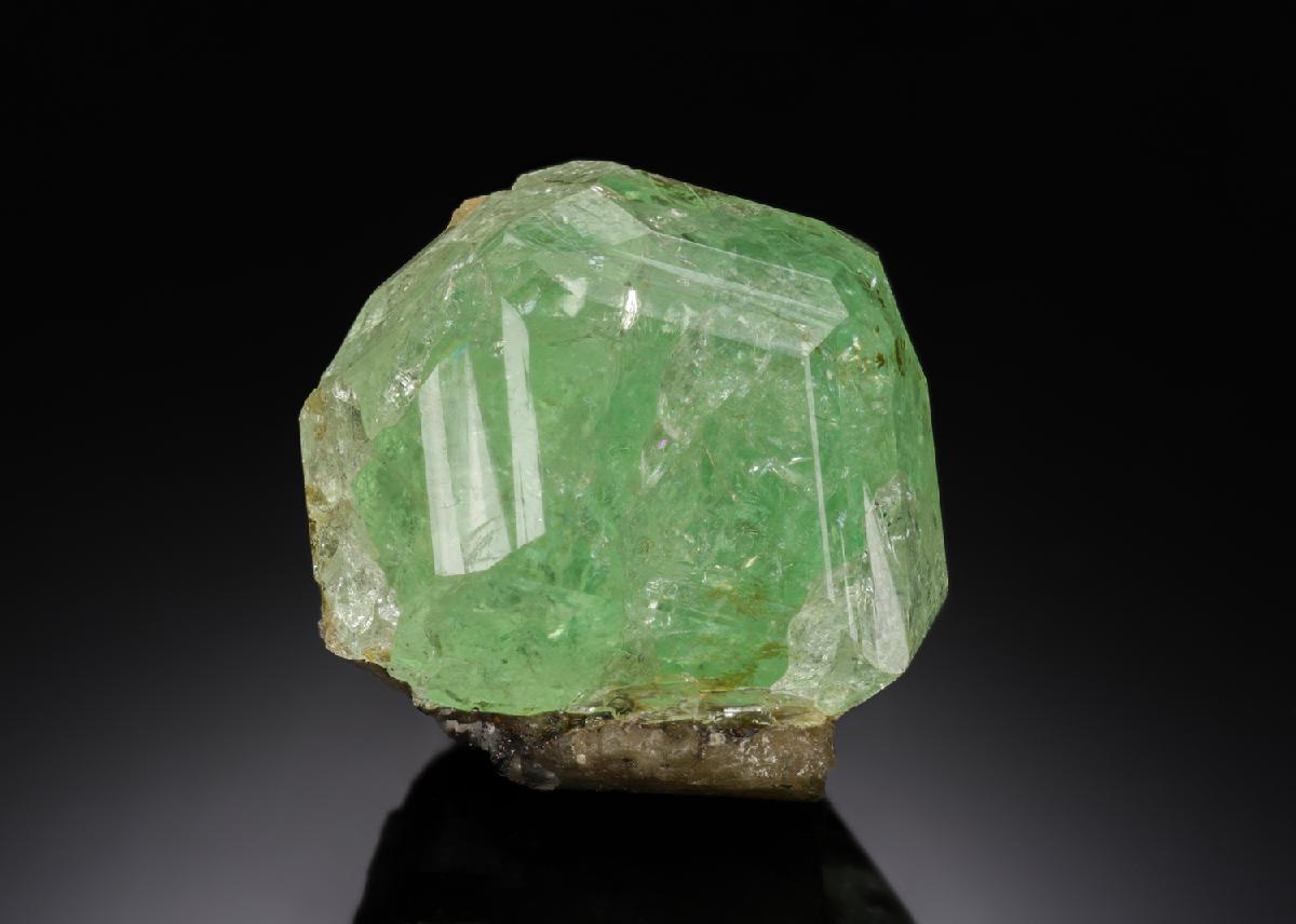 CC28043 specimen image