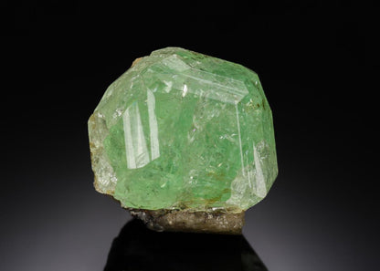 CC28043 specimen image