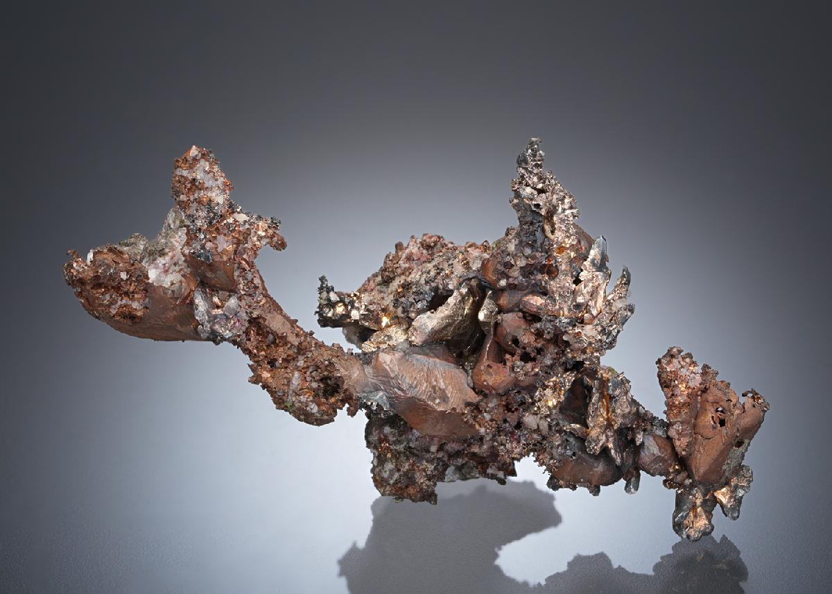 CC28049 specimen image