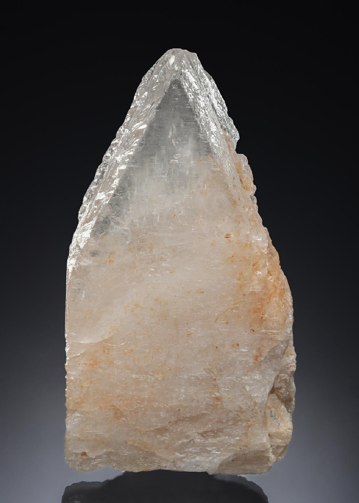 CC28051 specimen image