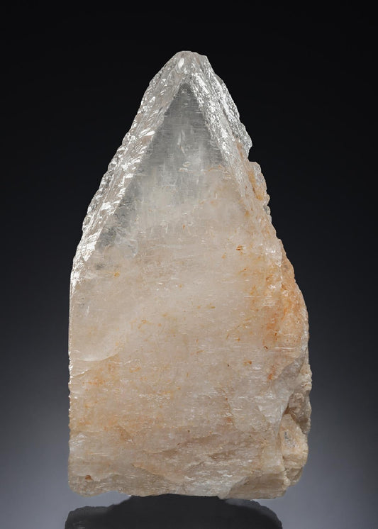 CC28051 specimen image
