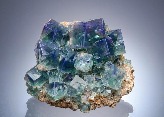 CC28053 specimen image