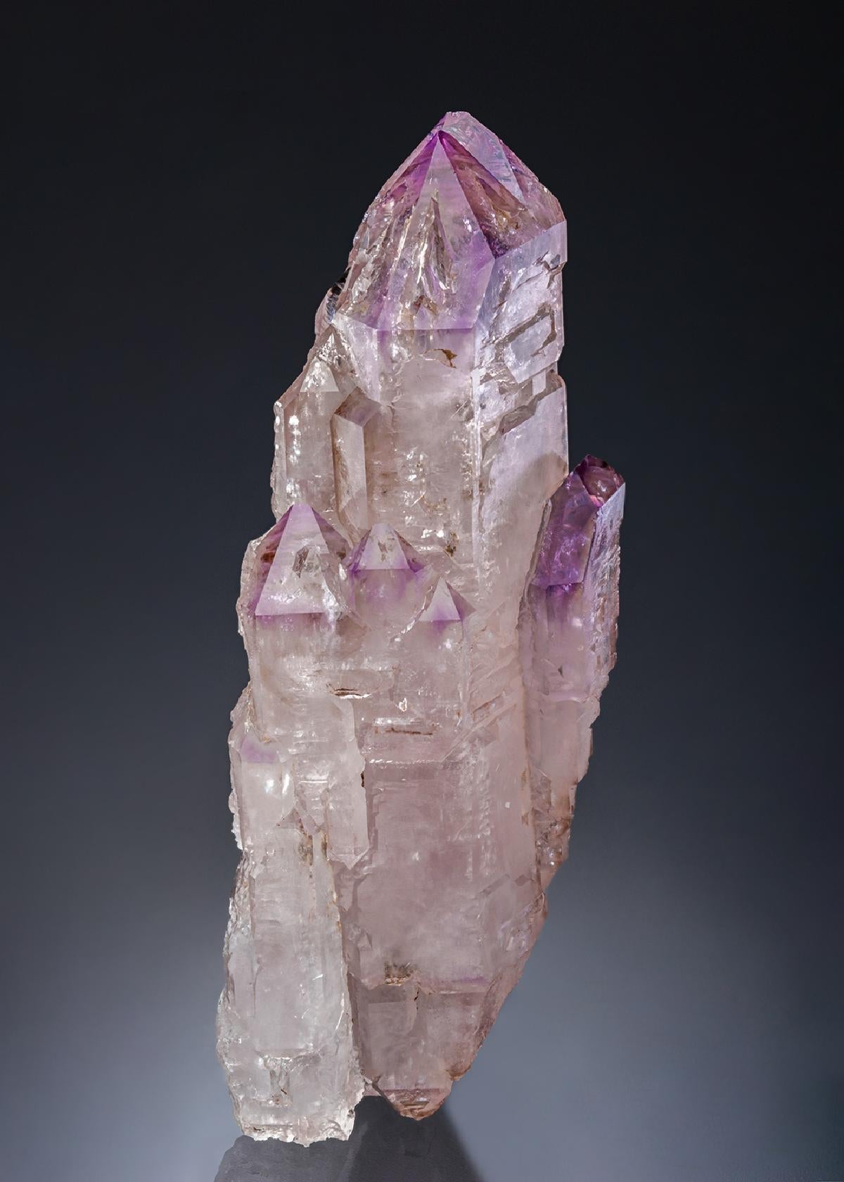 CC28057 specimen image