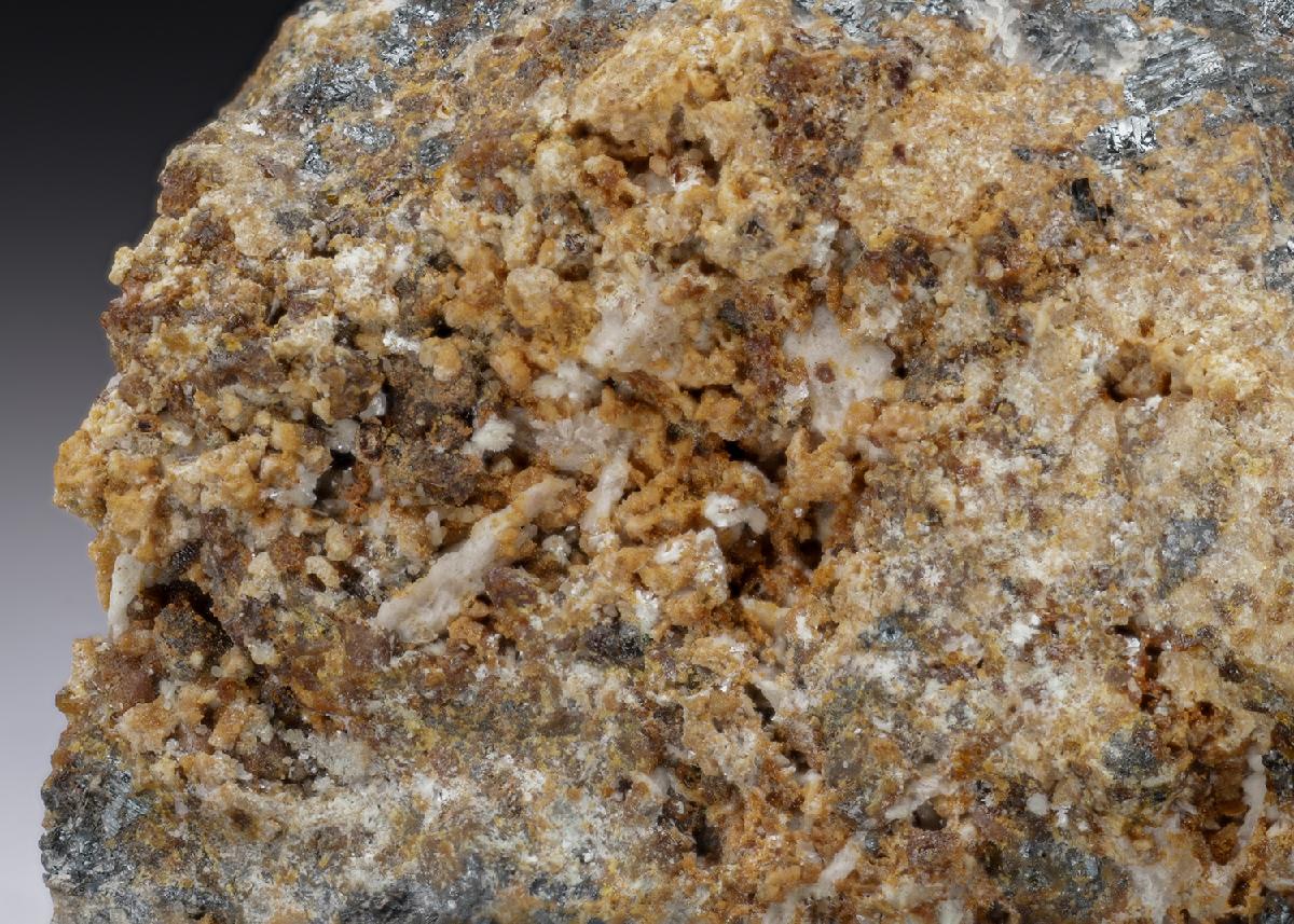 CC28079 specimen image