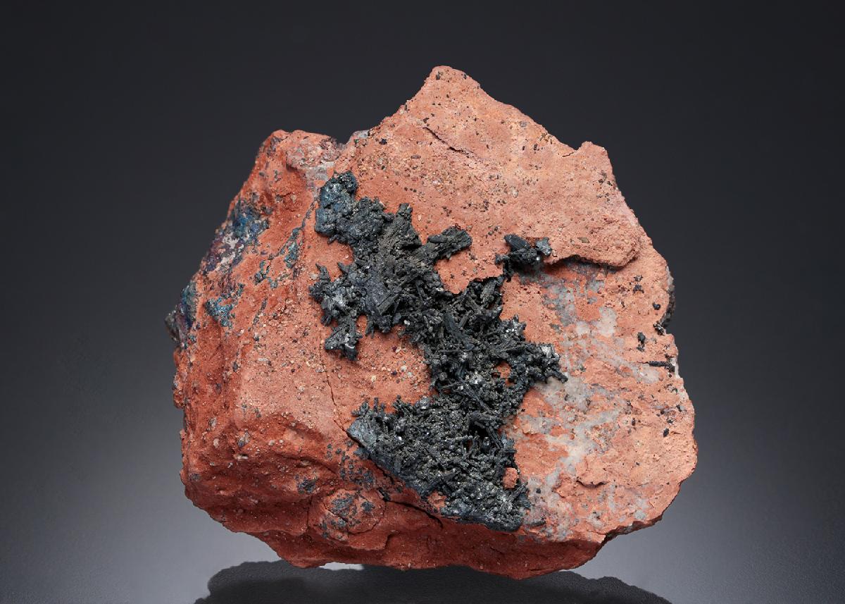 CC28087 specimen image