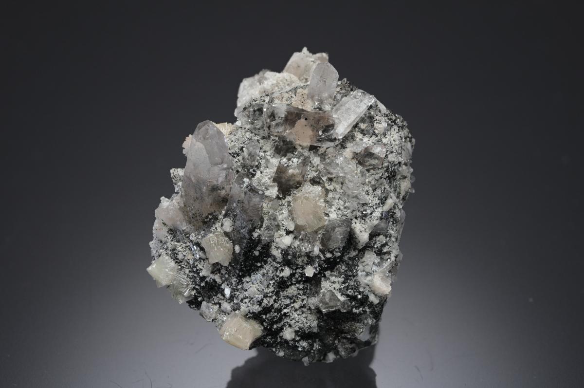 CC28089 specimen image