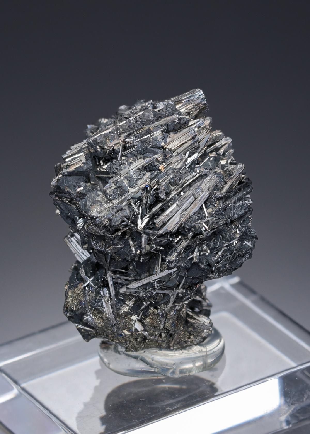 CC28093 specimen image