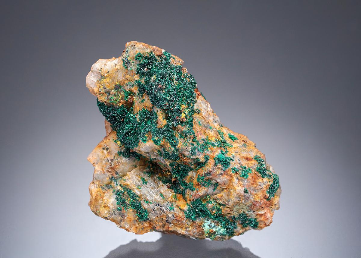 CC28099 specimen image