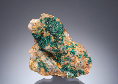 CC28099 specimen image