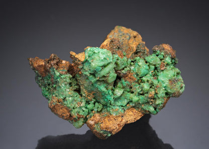 CC28103 specimen image
