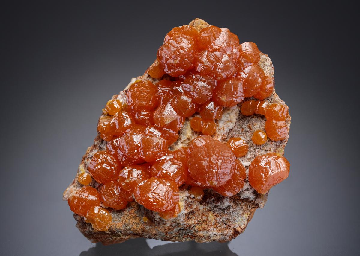 CC28111 specimen image