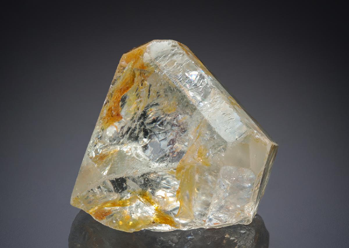 CC28113 specimen image