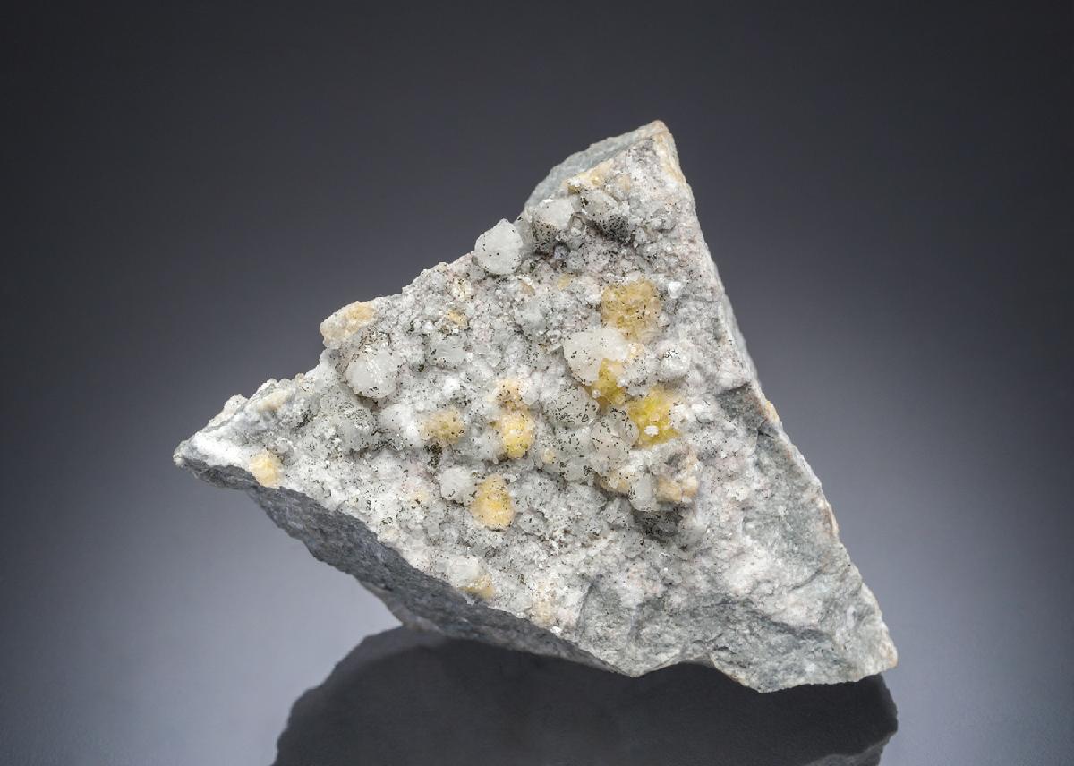 CC28117 specimen image