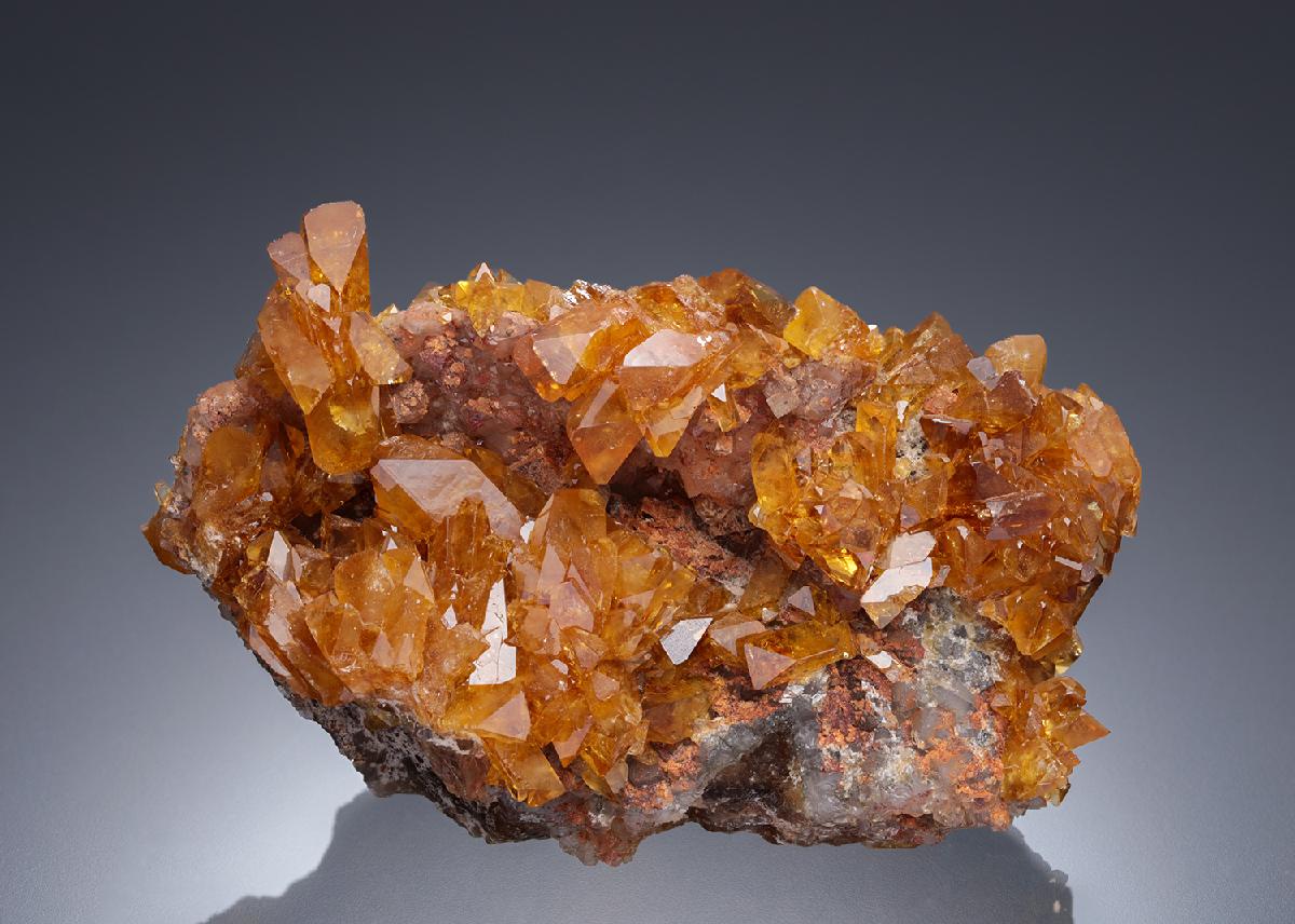 CC28119 specimen image