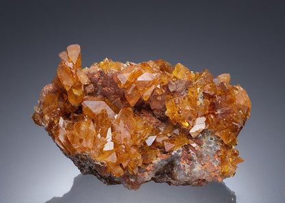 CC28119 specimen image